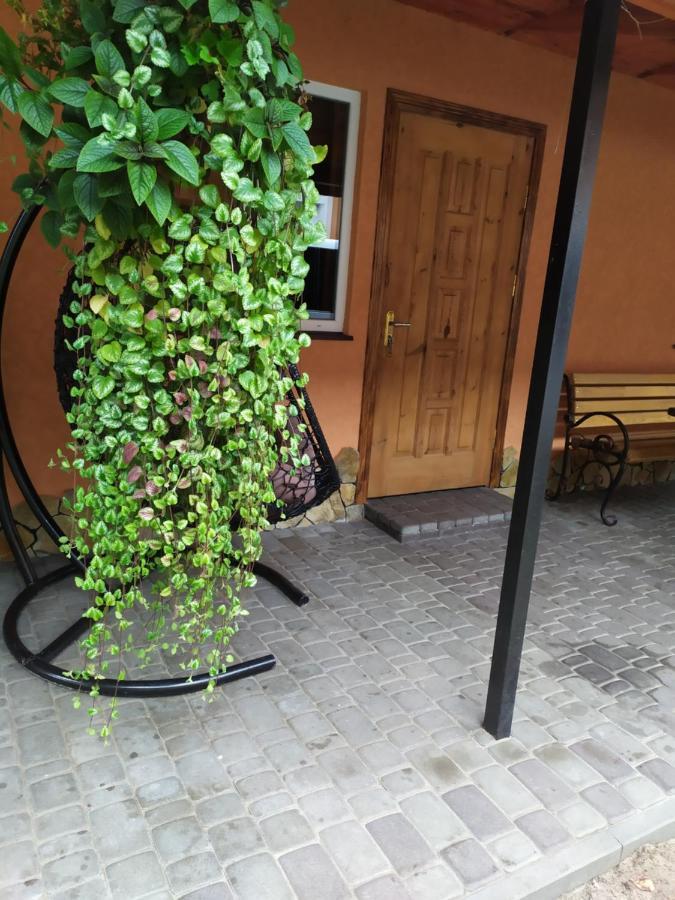 Лукі Vila Svityaz' Exterior foto